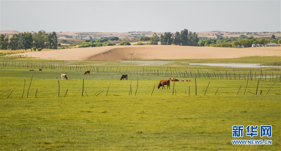 ����ϰ��ƽ��ʱ���й���ɫ�������˼��ָ����&mdash;&mdash;��ʱ������Ϊ��ƪ��&middot;ϰ��ƽ����ǹ�����&middot;ͼ�Ļ�������9�����⣬�ڻ�ɳ����չ&mdash;&mdash;�ҹ���ɳ��ɳ��ʵ