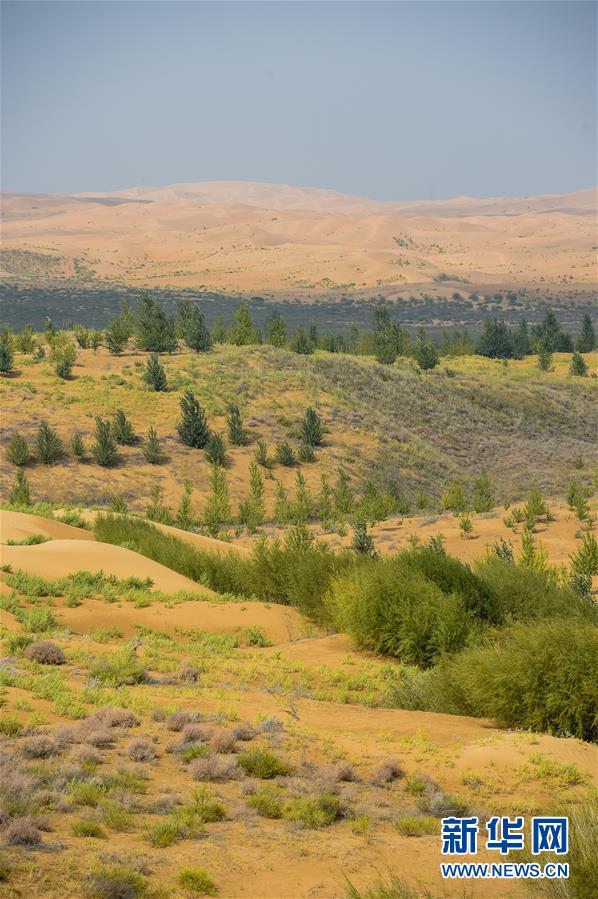 ����ϰ��ƽ��ʱ���й���ɫ�������˼��ָ����&mdash;&mdash;��ʱ������Ϊ��ƪ��&middot;ϰ��ƽ����ǹ�����&middot;ͼ�Ļ�������6�����⣬�ڻ�ɳ����չ&mdash;&mdash;�ҹ���ɳ��ɳ��ʵ